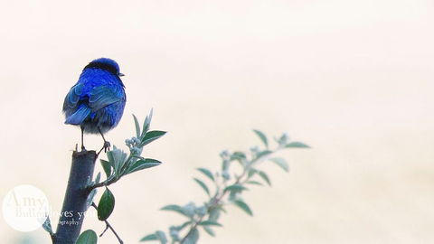 Tegwan's Nest - Hotel Accommodation 1