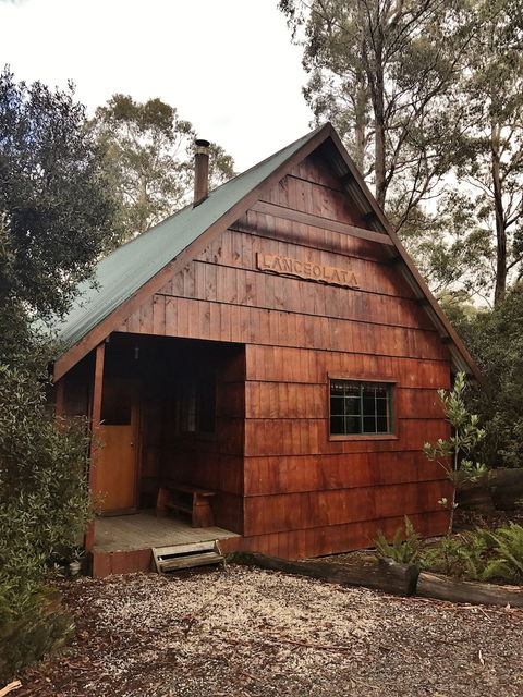 Cradle Mountain Highlanders Cottages - Hotel Accommodation 4