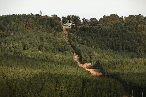 Nannup Hideaway - Hotel Accommodation 4