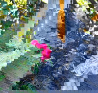 Chatelaine Valley Views - Hotel Accommodation