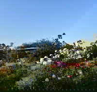 Labertouche Gypsy Creek Winery - Hotel Accommodation