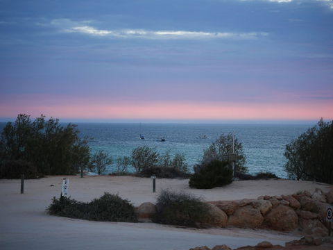 Denham Seaside Caravan Park - Hotel Accommodation 1