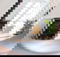 Peppertree Hill Luxury Farm Accomodation - Hotel Accommodation