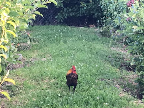 Cygnet Old Bank B & B Cafe & Gift Store - Hotel Accommodation 2