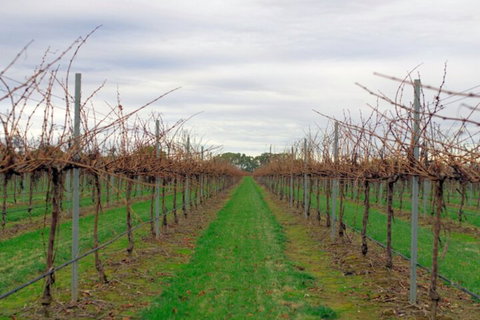 Yalumba Menzies Retreat - Hotel Accommodation 5