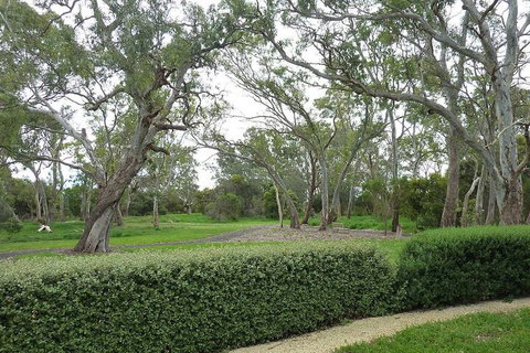 Yalumba Menzies Retreat - Hotel Accommodation 2