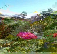 Dangal Gardens - Hotel Accommodation