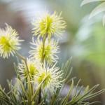 Charlotte Bay NSW Hotel Accommodation