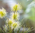 Bessou - Hotel Accommodation