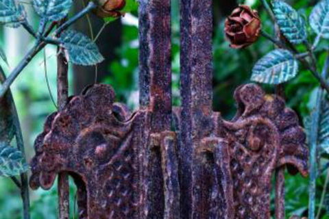 Whitsundays Bnb Retreat - Hotel Accommodation 6