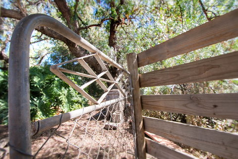 Old Swanport General Store - Hotel Accommodation 1