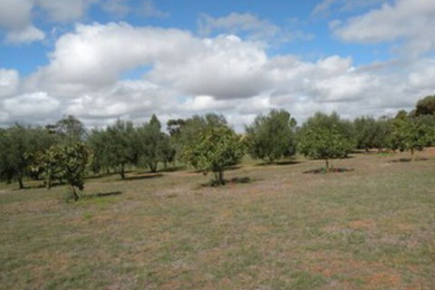 Thalia Getaway Villa - Hotel Accommodation 3