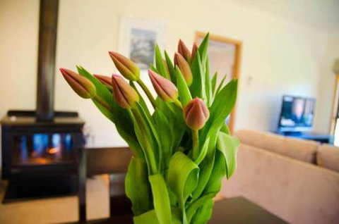 Growlers Creek Lodge - Hotel Accommodation 1