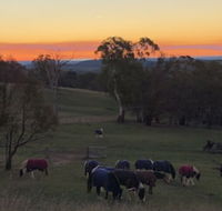 High Country Trail Rides  Farm Stay - Hotel Accommodation