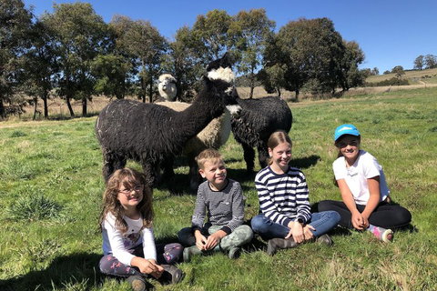 High Country Trail Rides & Farm Stay - Hotel Accommodation 3