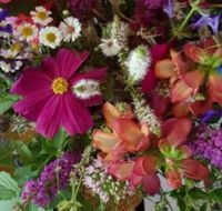 Ahvenbloem Park Winganna - Hotel Accommodation