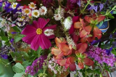 Ahvenbloem Park Winganna - Hotel Accommodation 0