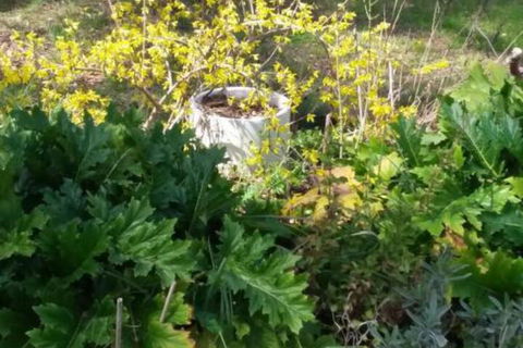 Ahvenbloem Park Winganna - Hotel Accommodation 1