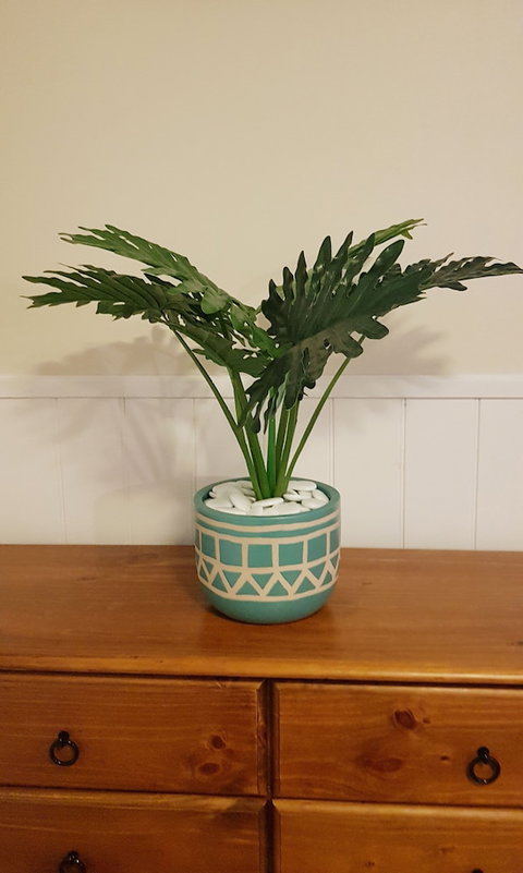 Hawley Beachside Accommodation - Hotel Accommodation 3