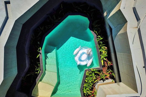 Alkira Award Winning Luxury Holiday Home - Hotel Accommodation 6