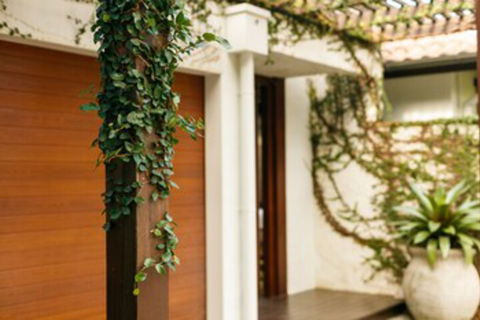 ESPRIT 2 PALM COVE BRAND NEW - Hotel Accommodation 0