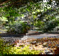 Country Comfort Bundaberg - Hotel Accommodation