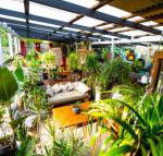 Jaspers Apartments - Hotel Accommodation