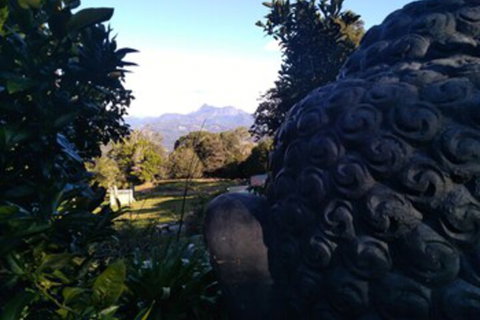 Ruah Rain Forest Retreat - Hotel Accommodation 0