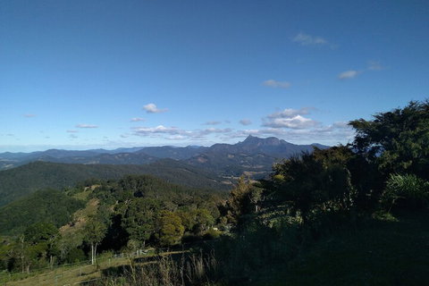 Ruah Rain Forest Retreat - Hotel Accommodation 6