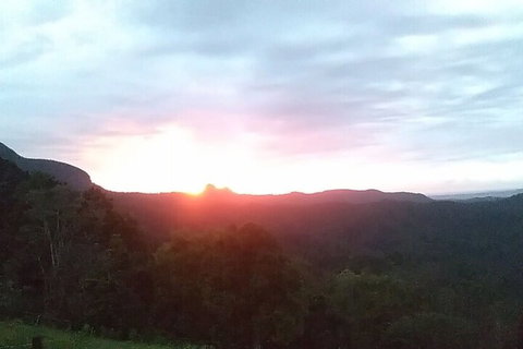 Ruah Rain Forest Retreat - Hotel Accommodation 4