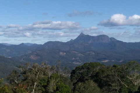 Ruah Rain Forest Retreat - Hotel Accommodation 2