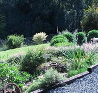 Love Grove Guest House - Hotel Accommodation