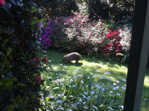 Mandalay House - Hotel Accommodation 4