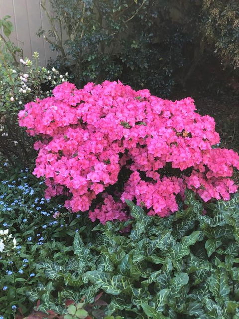 Mandalay House - Hotel Accommodation 5