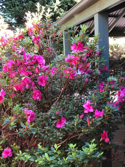 Mandalay House - Hotel Accommodation 6