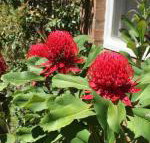 The Summit House - Hotel Accommodation