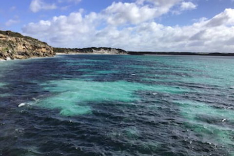 Koopalanda Dreaming - Hotel Accommodation 0