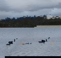 Lake Yalleena Nature Retreat