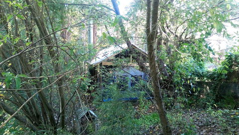 The Black Cockatoo Nannup - Hotel Accommodation 1