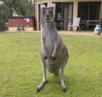 Yelverton Brook Conservation Sanctuary - Hotel Accommodation