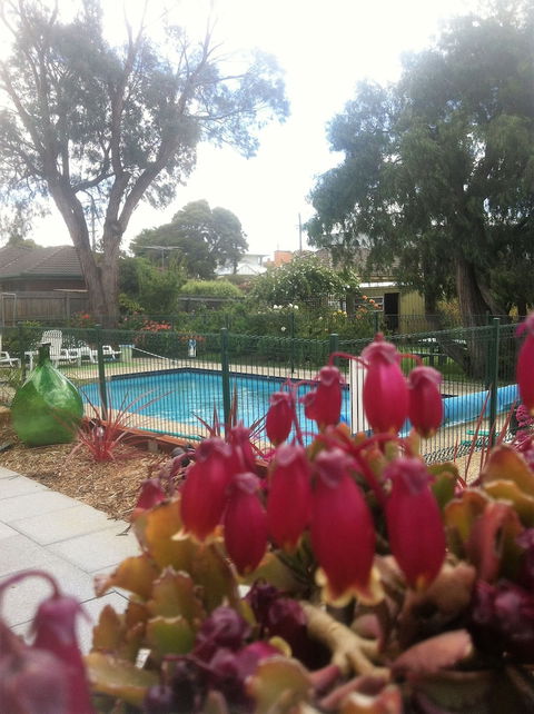 Parkwood Motel And Apartments - Hotel Accommodation 3