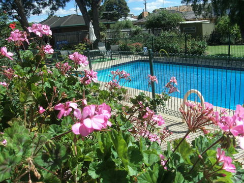 Parkwood Motel And Apartments - Hotel Accommodation 2