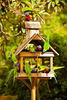 Crystal Brook Tourist Park - Hotel Accommodation 0
