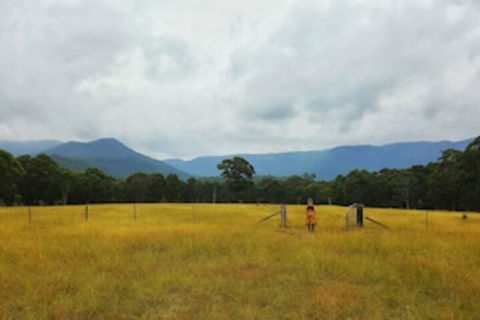 Maya Sanctuary - Hotel Accommodation 0