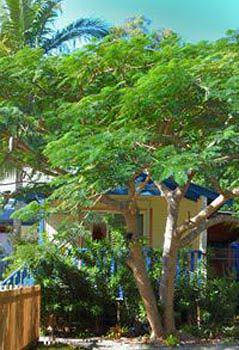 Ewingsdale NSW Hotel Accommodation