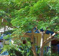 Amber Gardens Guesthouse - Hotel Accommodation