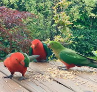 Crimson Villa - Hotel Accommodation