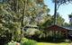 Bellbird Cottage B & B - thumb 5