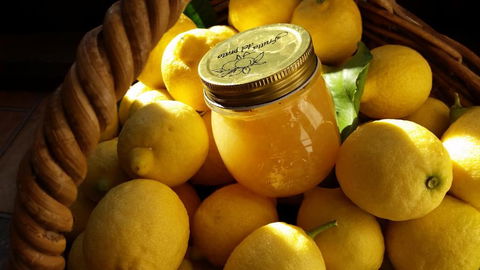 Bellbird Cottage B & B - Hotel Accommodation 2