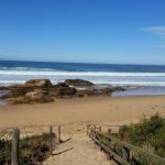 Bellbird Cottage B & B - Hotel Accommodation 0